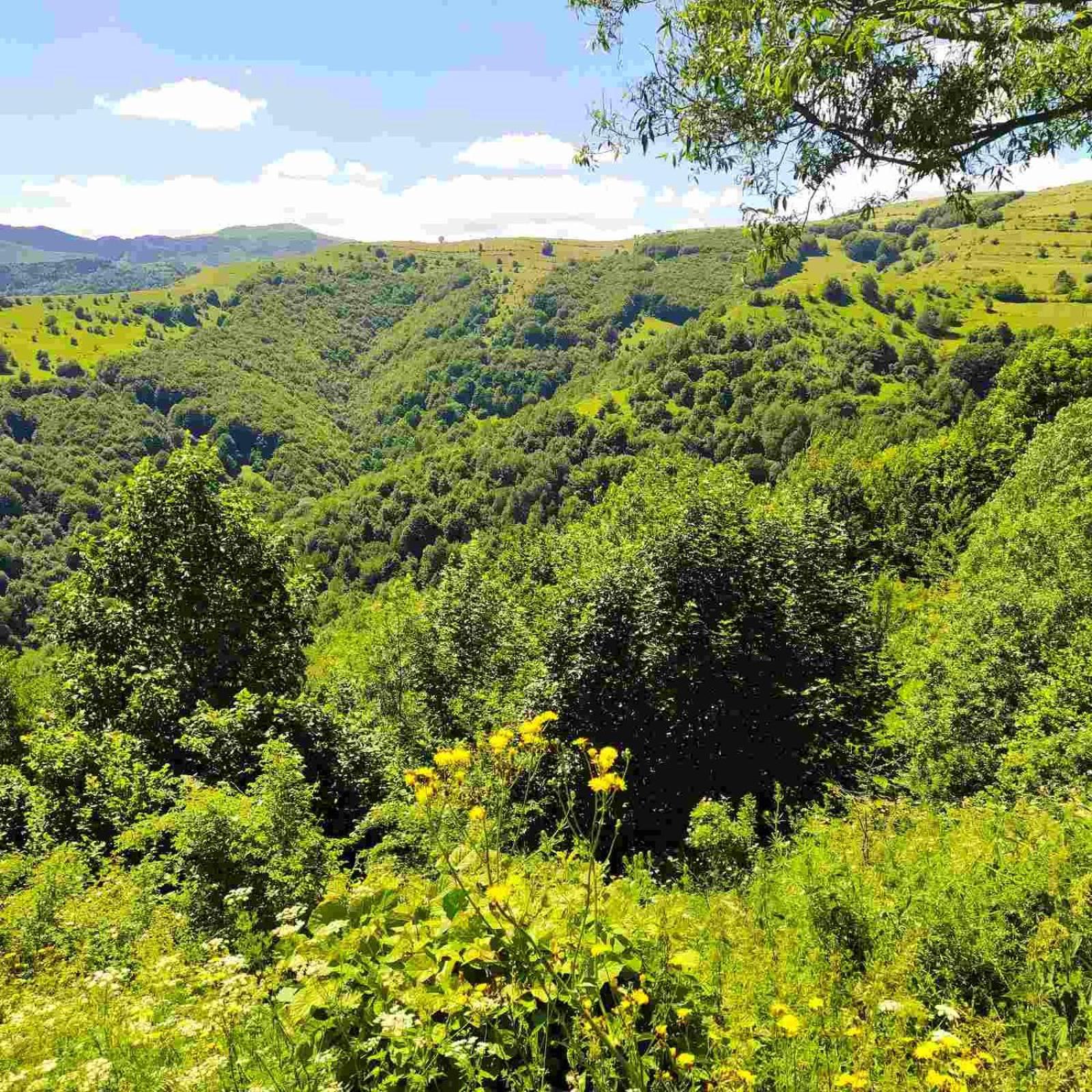 Holiday Home Vila Bjelašnica Buitenkant foto